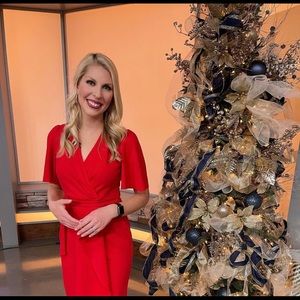 Red Donna Morgan Dress